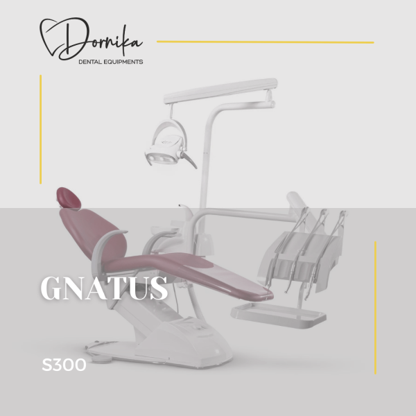 یونیت دندانپزشکی گناتوس Gnatus مدل S300