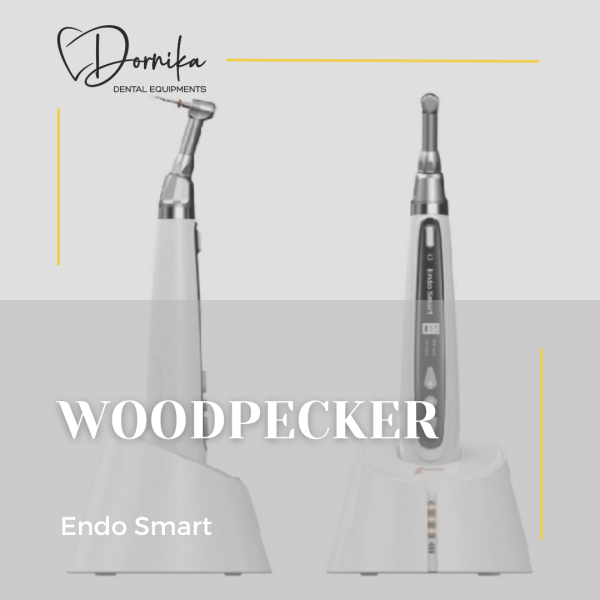 دستگاه روتاری Woodpecker مدل Endo Smart